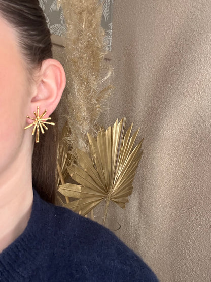 Boucles d’oreilles shyness