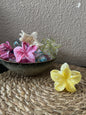 Pince fleur jaune