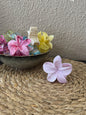 Pince fleur violet